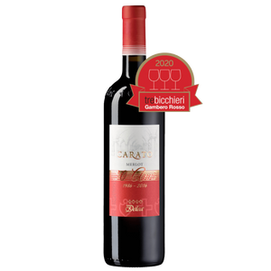 DELEA Rossi 75 cl / 2016 CARATO MERLOT TICINO DOC