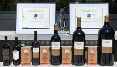 Angelo Delea Master of Merlot 2019